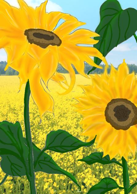 sunflower - ibisPaint