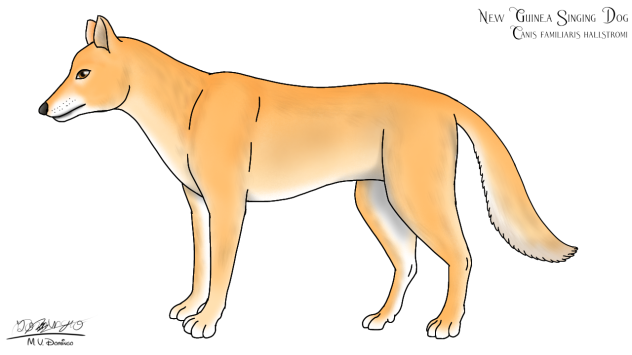 NG Singing Dog redraw