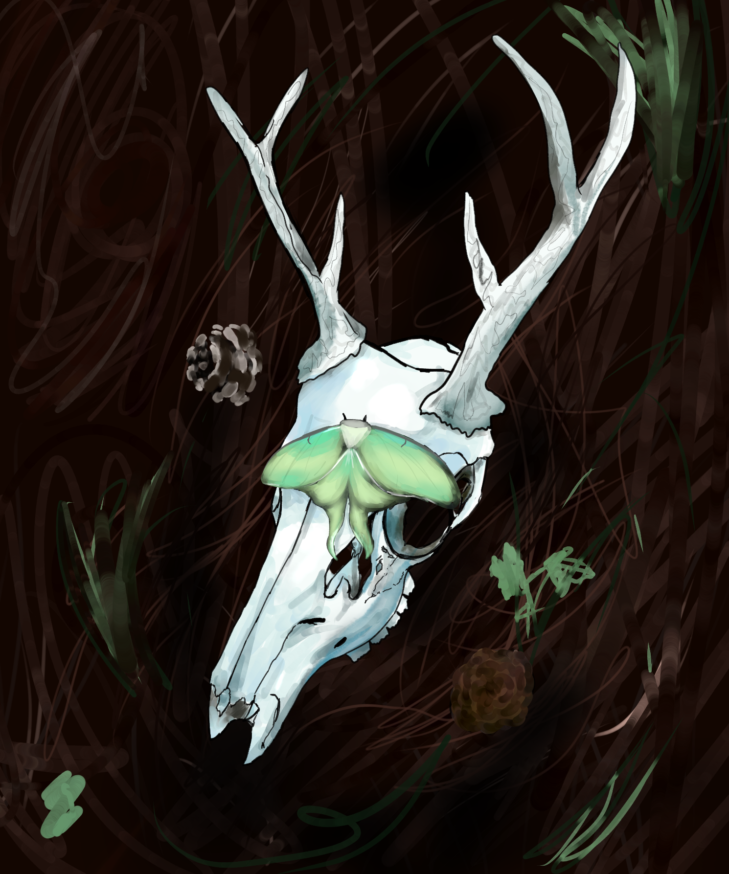 Skull - ibisPaint