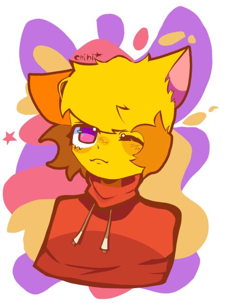 for chihi 2 of 3