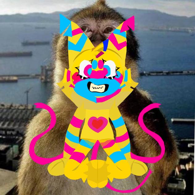 yatta lasso paint