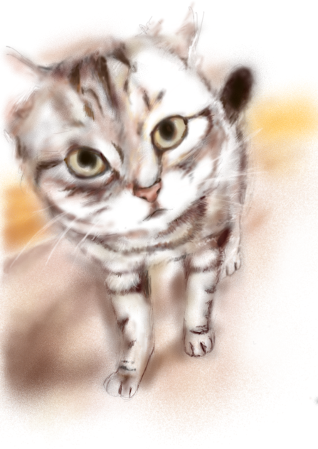 猫に言われてもな…