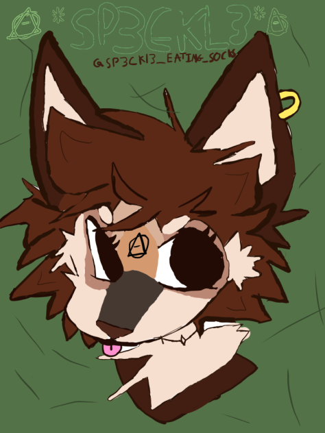 New pfp!