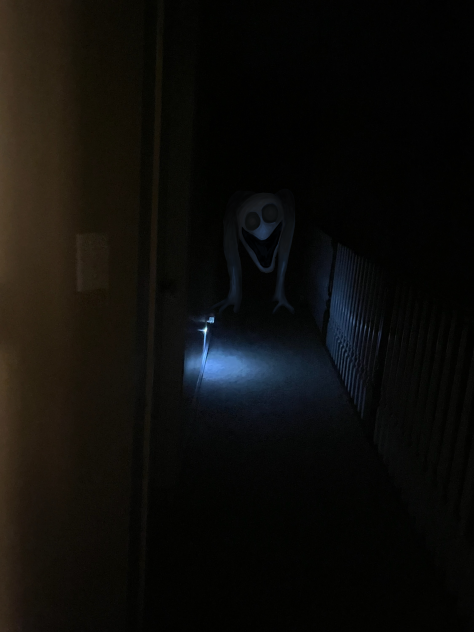 DO NOT ENTER THE HALLWAY