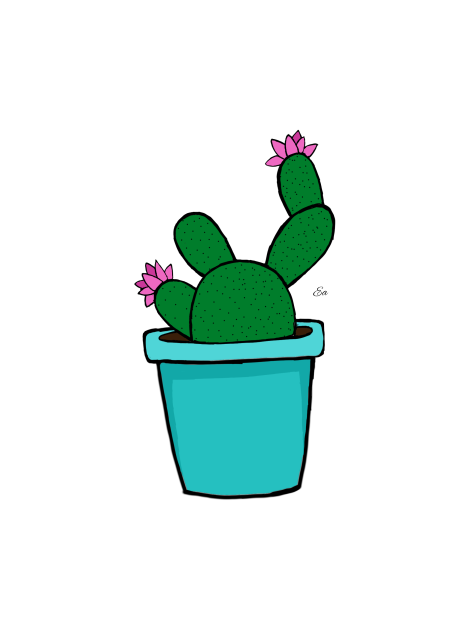 Cactus drawing