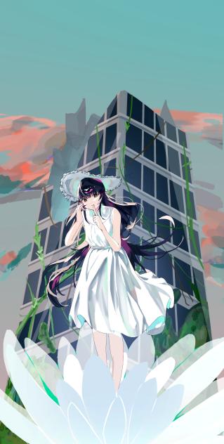 睡蓮