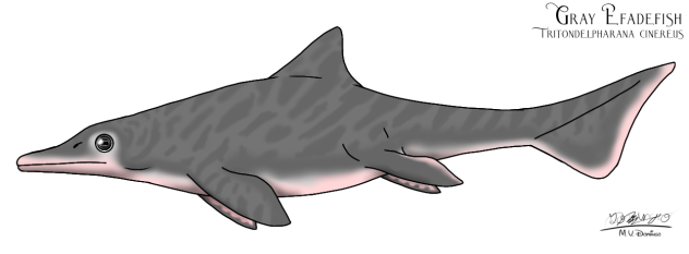 Gray Efadefish