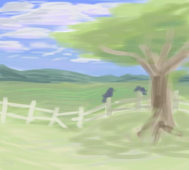 a quiet day….