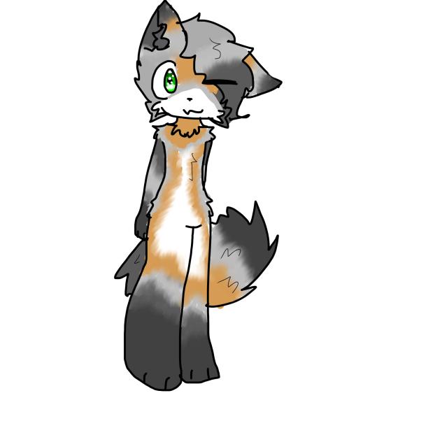 New oc