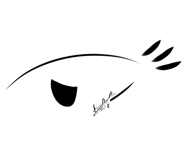 New type of eye!