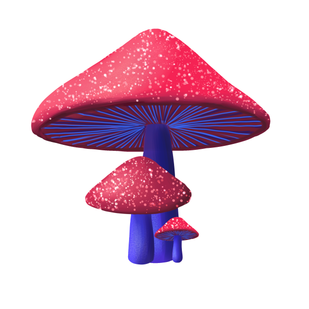 Magic mushroom