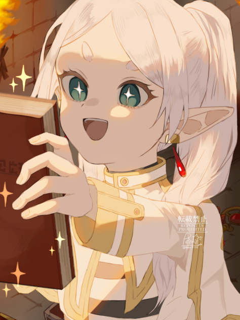 珍しい魔導書