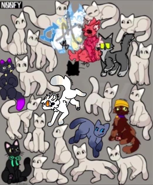 Silly Billy cat collab