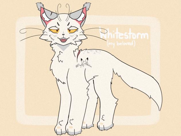 Whitestorm my beloved 🤍✨