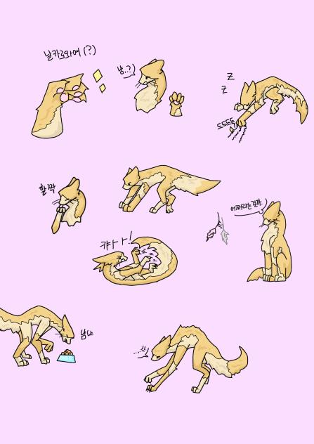얼룩냥