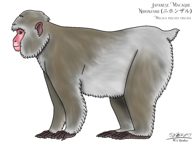 Japanese Macaque ver 1.2