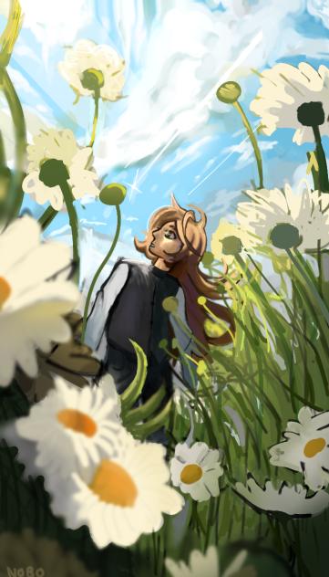 The Field