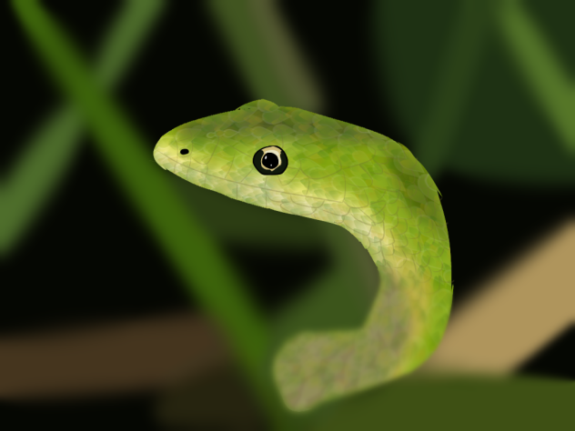Green grass snake