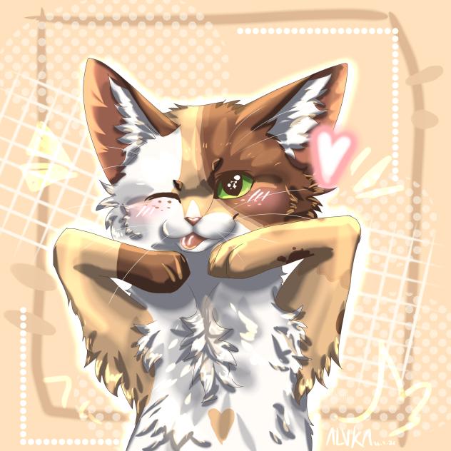 MEOW!!