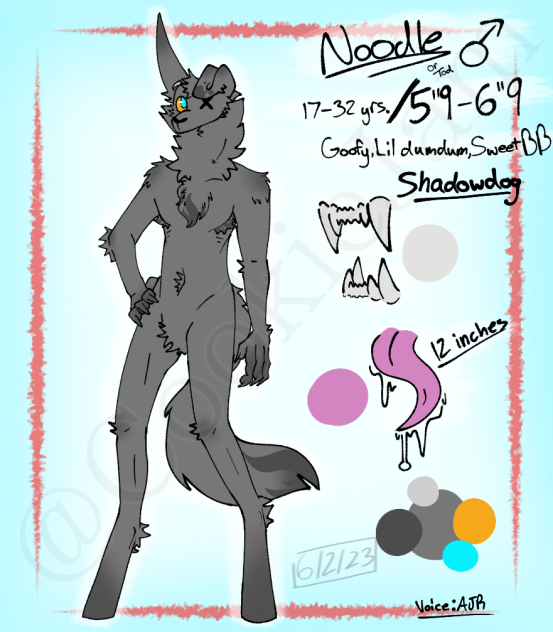 Noodle Official Ref Sheet!