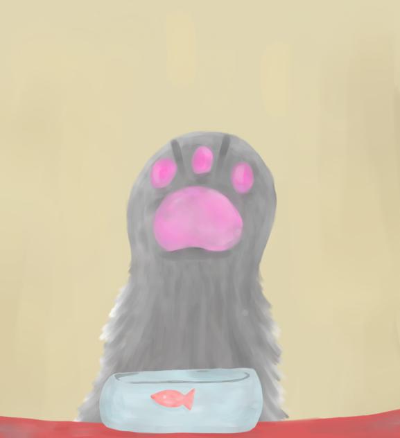 cat paw!