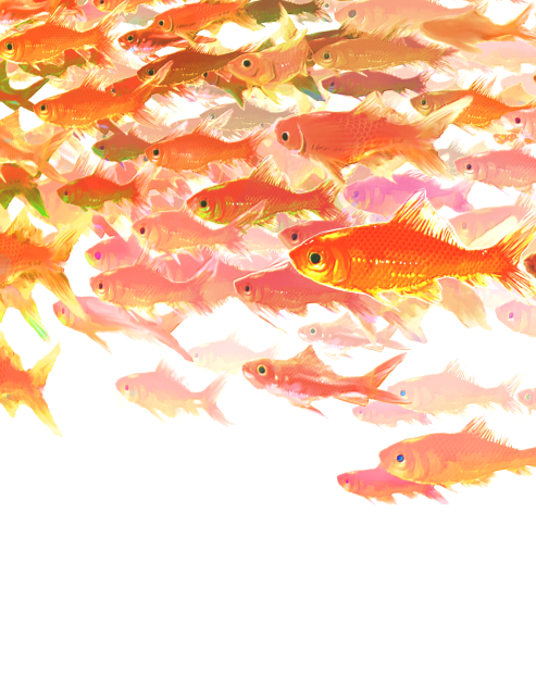 金魚群