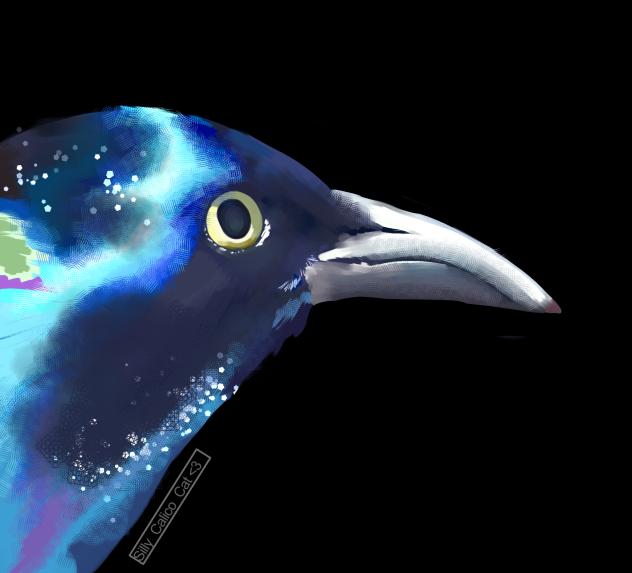 bird-I-guess