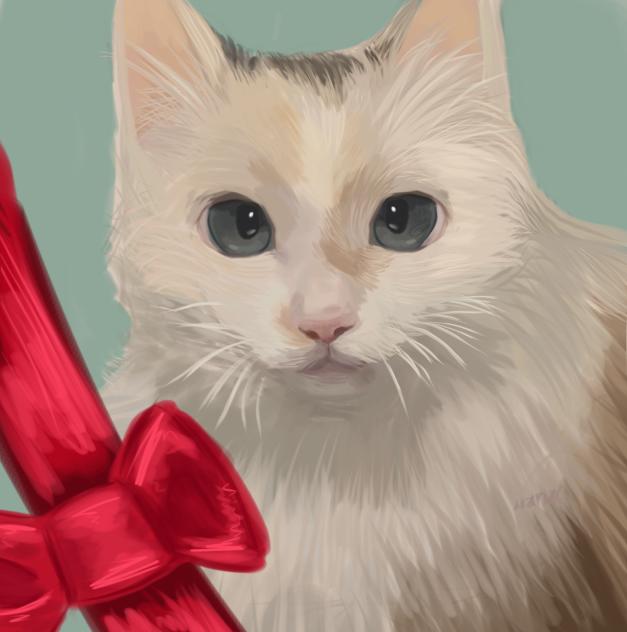 Mario Hugo 🐈 CAT Request