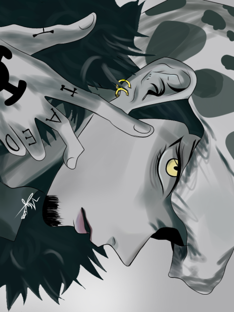 Trafalgar D Law