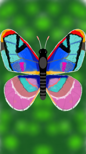 Butterfly painting
