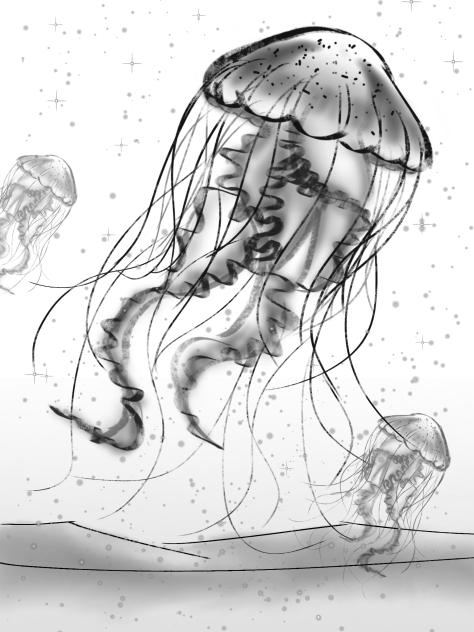 sketch 12.2.26
