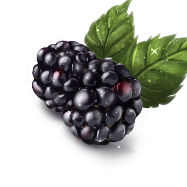 Blackberries