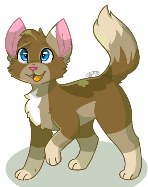 Mapletail Vector