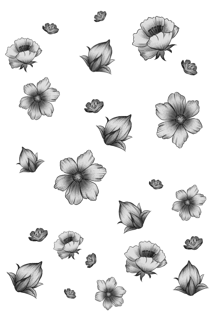 flower transparent ibisPaint