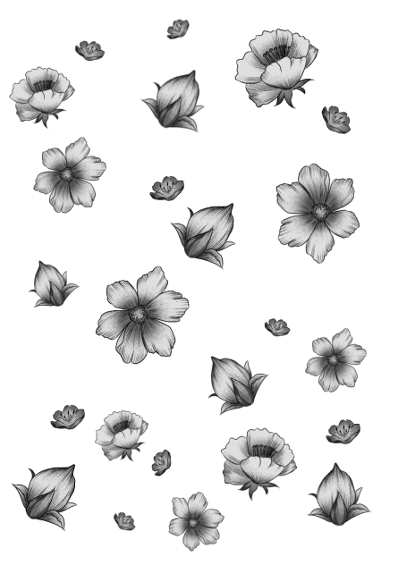 flower transparent