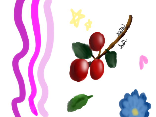 primera vez usando una tableta gráfica