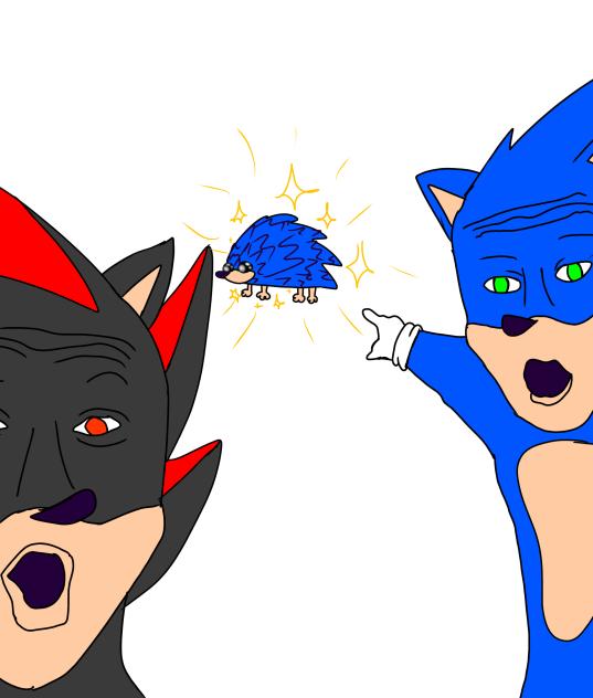 Random Sonic Meme