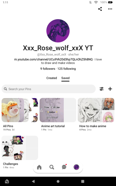 my Pinterest account