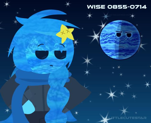 wise 0855-0714