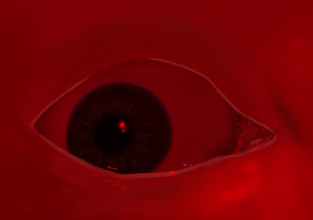 es tut mir leid but no eyelashes =(