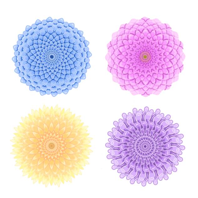 Chrysanthemums ibisPaint