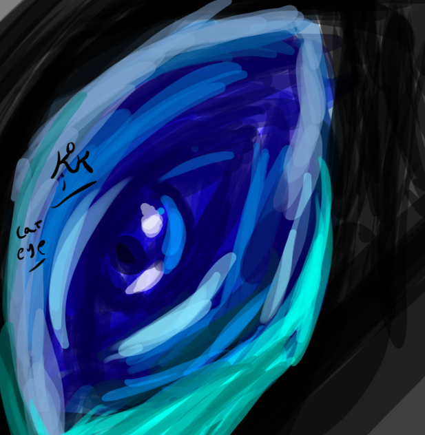 Challenge doing a drawing in 11m cat eye