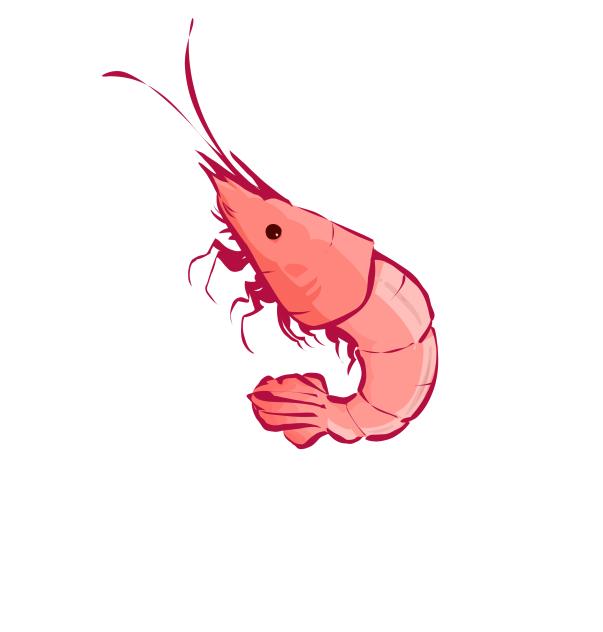 shrimp