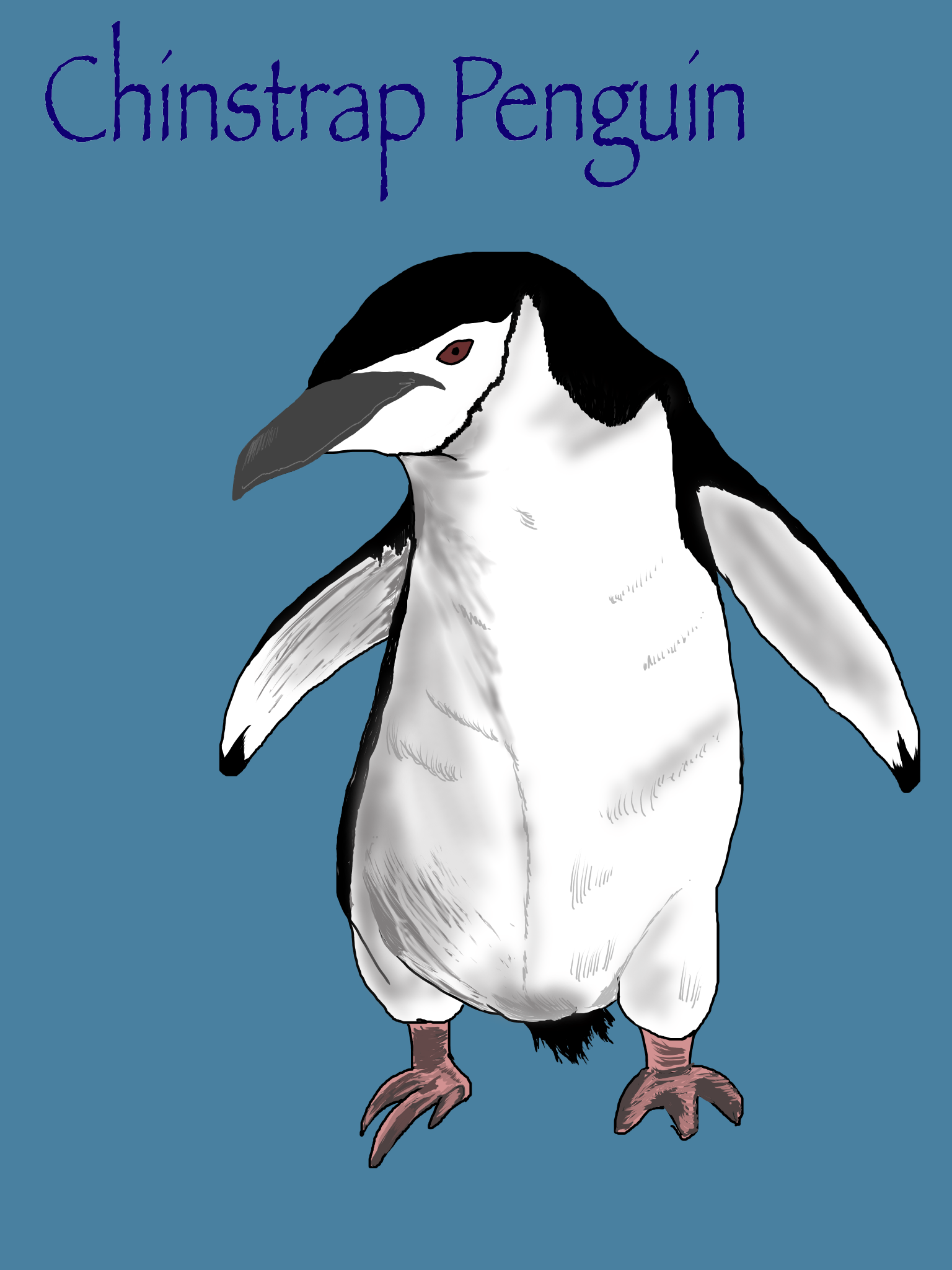 ヒゲペンギン Ibispaint