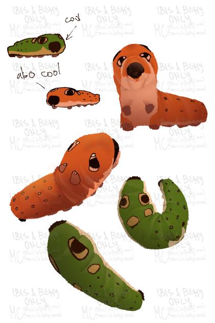 i think i like caterpilars