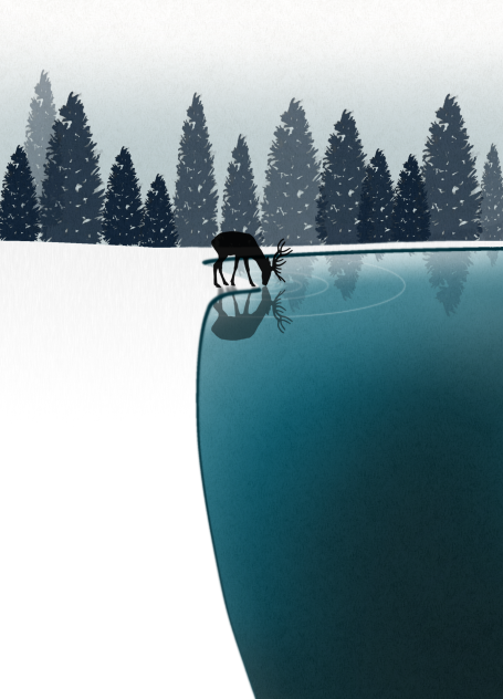 Cold Forest