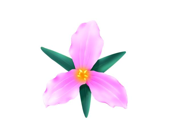 Pink Trillium Flower Material