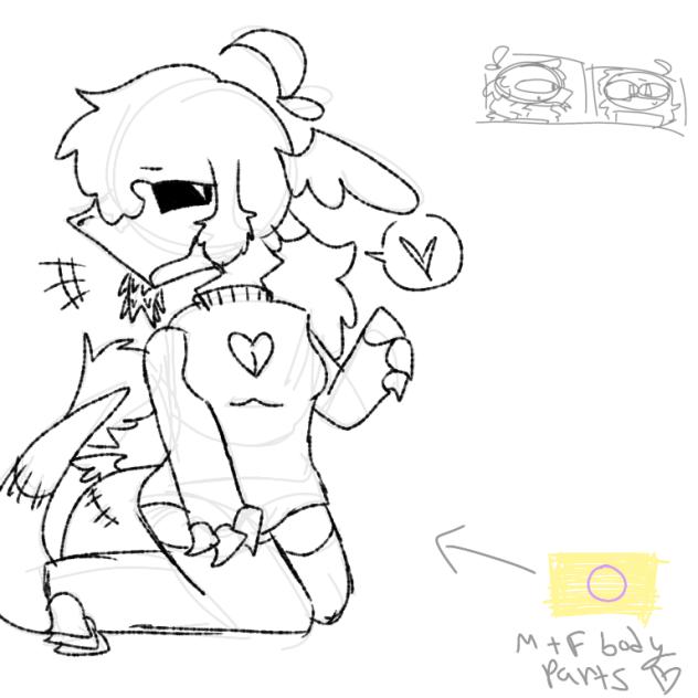 wippp