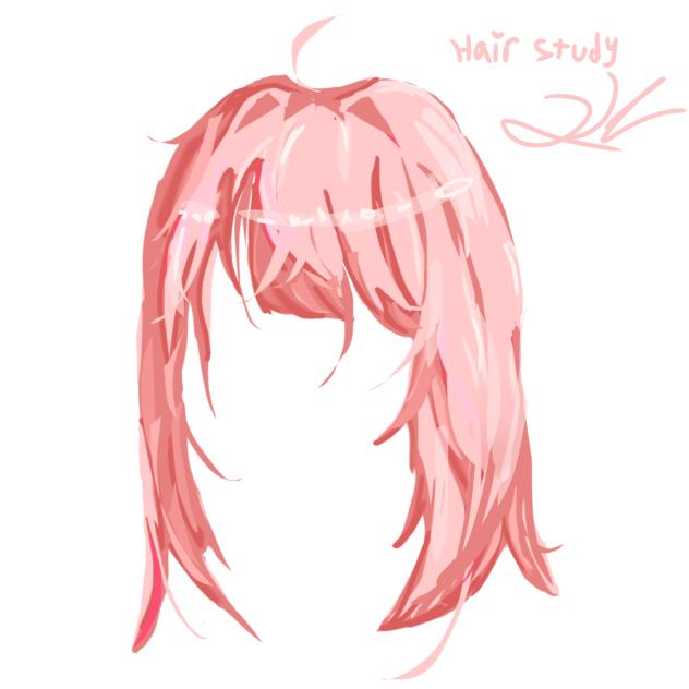 Hair study! 🩷