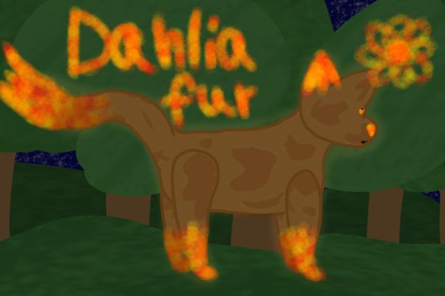 Dahliafur